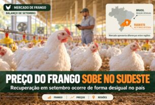 Alta do frango no Sudeste em setembro revela ritmo irregular de recuperação pelo Brasil