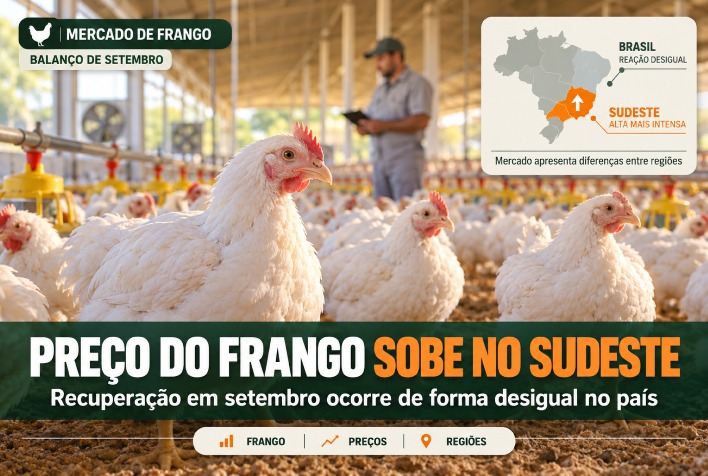 Alta do frango no Sudeste em setembro revela ritmo irregular de recuperação pelo Brasil