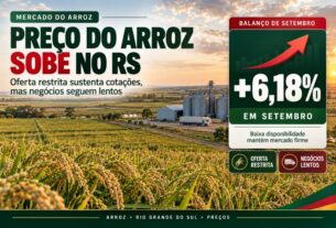Alta no preço do arroz no RS reflete oferta restrita e mercado lento