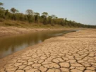 Amapá tem emergência reconhecida em 14 cidades por causa da estiagem