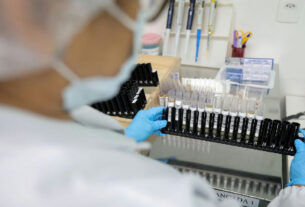 Anvisa autoriza testes em humanos da primeira vacina brasileira contra a malária