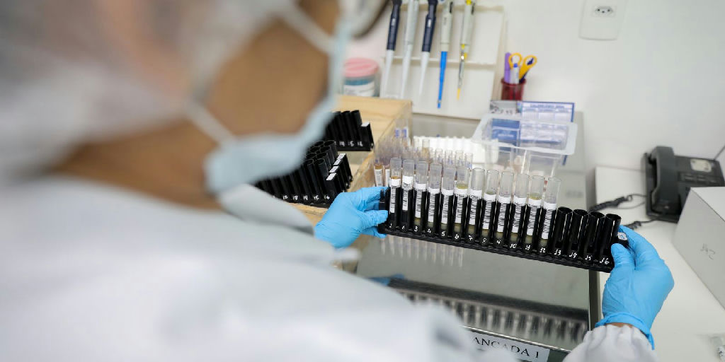 Anvisa autoriza testes em humanos da primeira vacina brasileira contra a malária