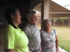 Avicultura une família e transforma rotina de produtora rural em Minas Gerais