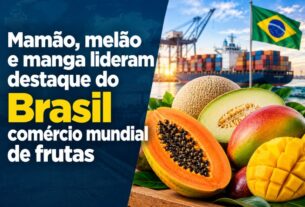 Brasil ganha força no comércio global de frutas impulsionado por manga, mamão e melão