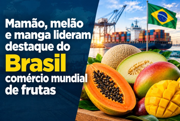 Brasil ganha força no comércio global de frutas impulsionado por manga, mamão e melão