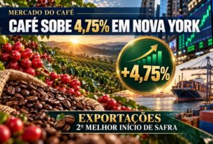 Café arábica valoriza em Nova York e exportações brasileiras crescem