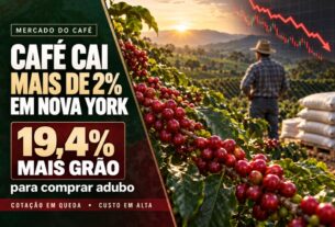 Café recua em Nova York e produtores enfrentam custo maior em fertilizantes