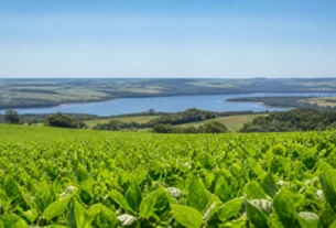 Calor intenso em Orleans e Braço do Norte eleva termômetros em Santa Catarina
