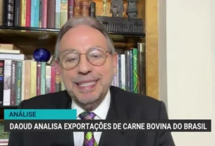 Cenário da carne bovina brasileira exige cautela e estratégia diante de novos desafios globais
