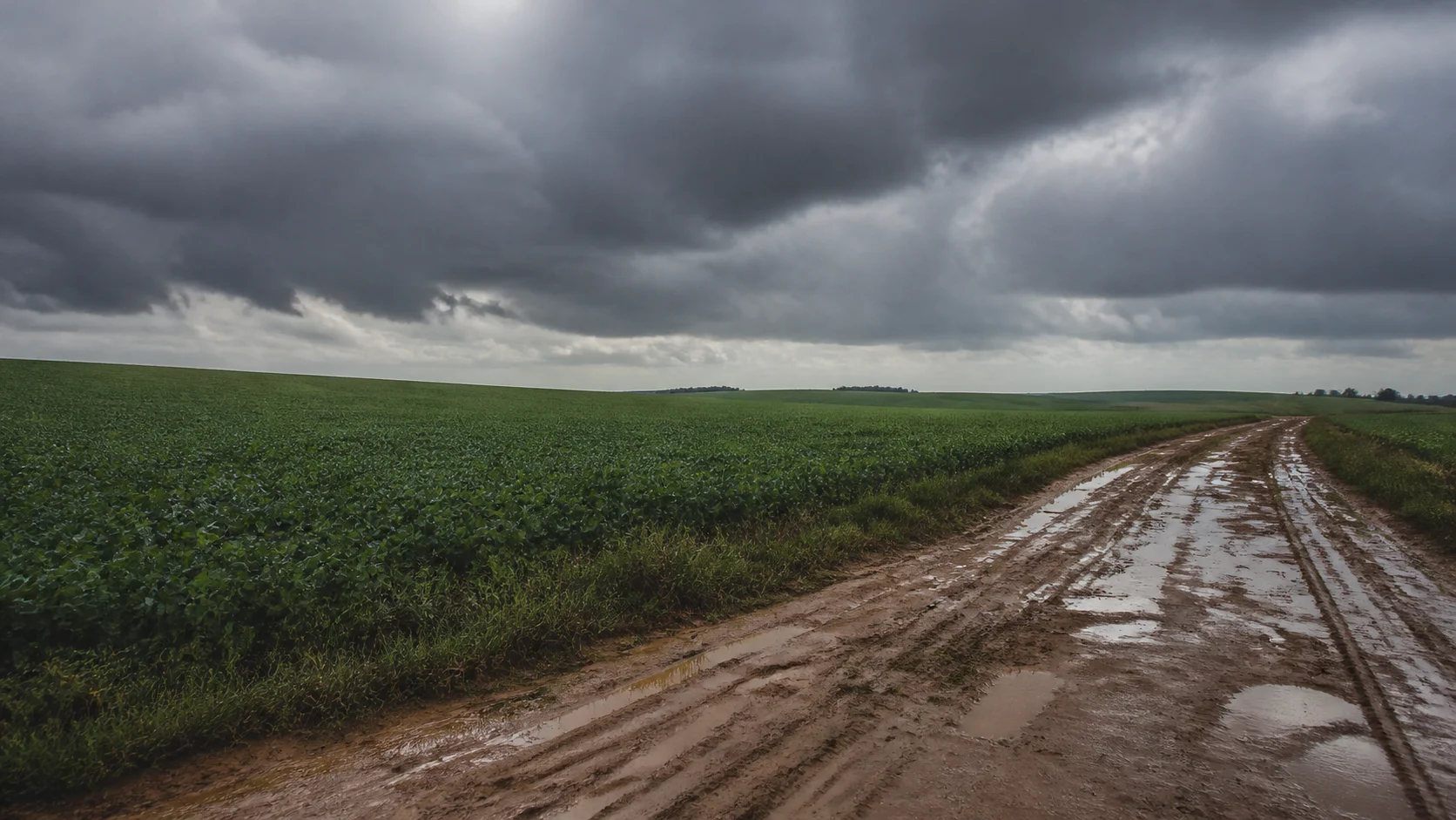 Chuva forte no sul e centro-oeste acumula até 103 mm em dois dias