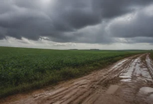 Chuva forte pode atingir acumulado de 102 mm em Bela Vista nos próximos dias
