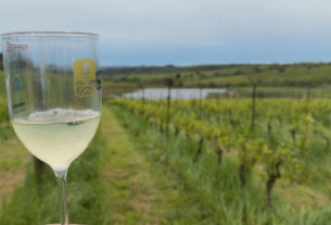 Ciência do solo revela segredos para a qualidade do vinho gaúcho