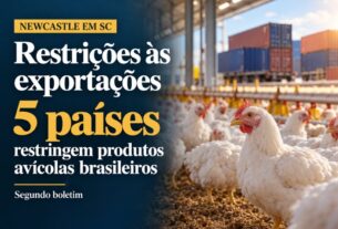 Cinco países barram carne de frango do Brasil após foco de Newcastle em Santa Catarina