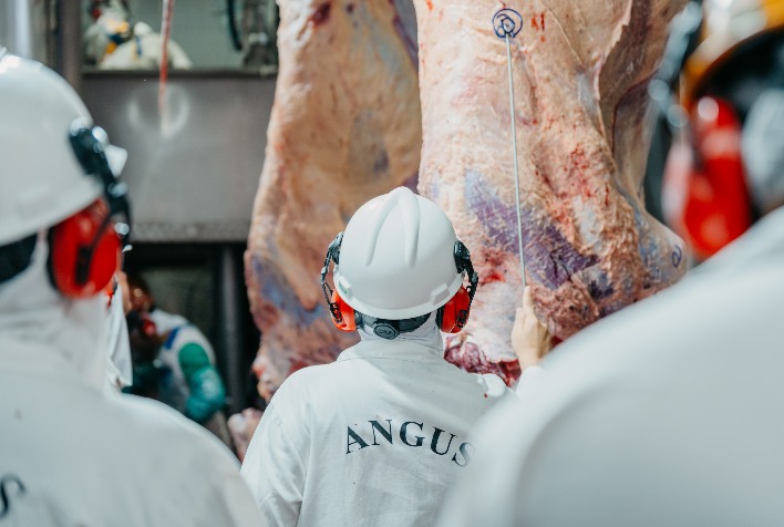 Circuito Angus de Carcaça 2026 percorrerá sete estados com premiação focada em nutrição animal