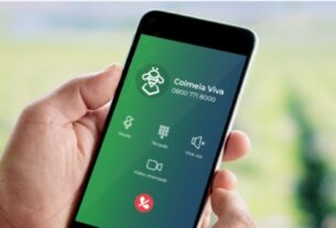 Colmeia Viva amplia suporte técnico gratuito para proteção de abelhas no campo