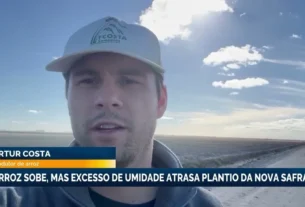 Cotação do arroz reage no mercado externo mas excesso de umidade trava plantio gaúcho