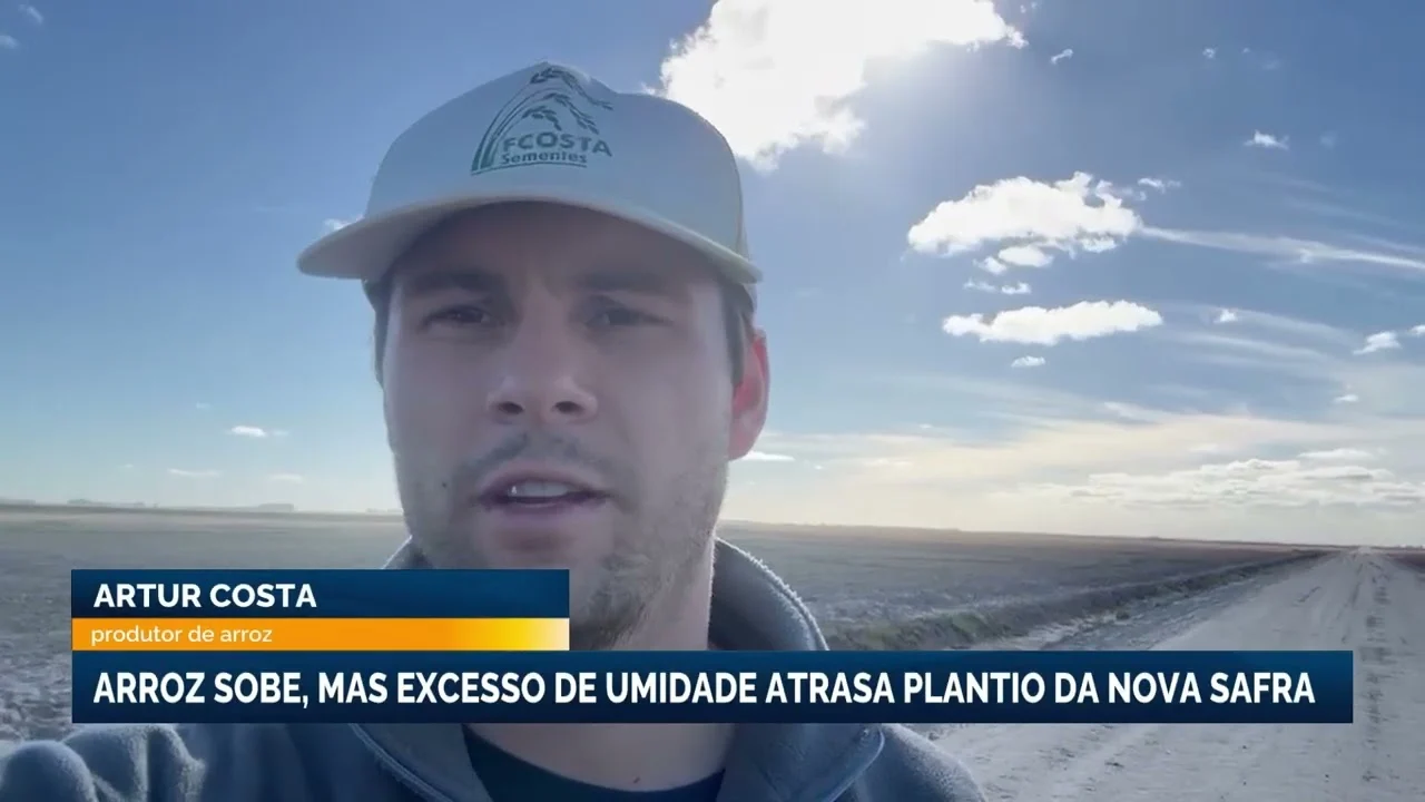 Cotação do arroz reage no mercado externo mas excesso de umidade trava plantio gaúcho