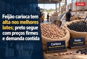 Cotação do feijão carioca avança em lotes nobres enquanto o preto mantém preços firmes