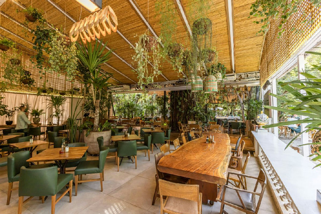Da vila na Bahia ao império gastronômico de milhões