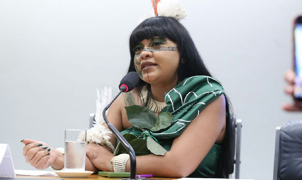 Deputada Célia Xakriabá cobra investigações após denúncias de violência contra Indígenas