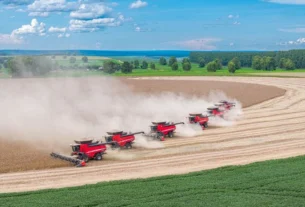 Diálogo com o governo exige propostas concretas do agro, avalia especialista