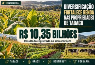 Diversificação agrícola impulsiona renda em propriedades de tabaco com R$ 10,35 bilhões