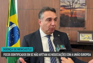 Doença de Newcastle em Santa Catarina não interfere nas conversas com a União Europeia