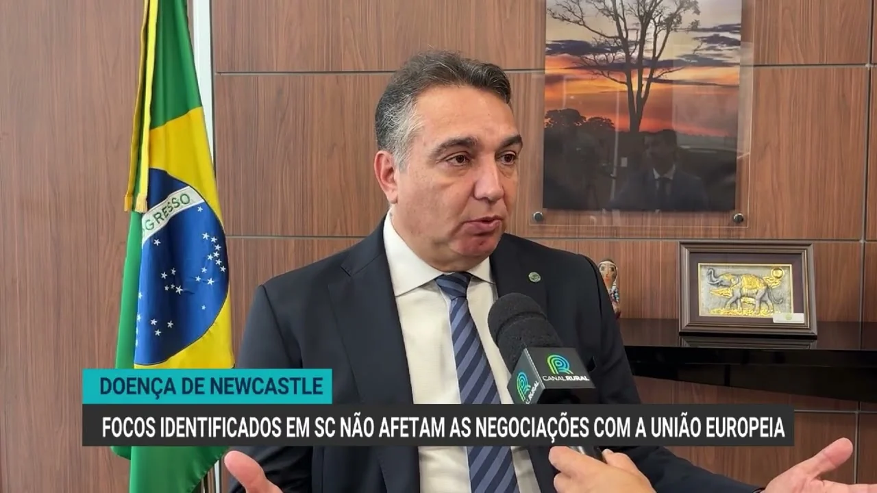 Doença de Newcastle em Santa Catarina não interfere nas conversas com a União Europeia