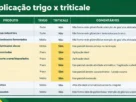 Embrapa testa triticale como alternativa ao trigo na indústria