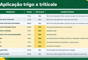 Embrapa testa triticale como alternativa ao trigo na indústria