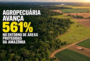 Entorno de áreas protegidas da Amazônia registra alta de 561% na agropecuária desde 1985