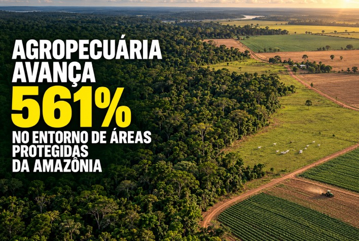 Entorno de áreas protegidas da Amazônia registra alta de 561% na agropecuária desde 1985