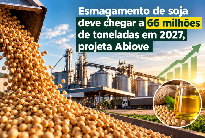 Esmagamento de soja no brasil deve alcançar 66 milhões de toneladas em 2027