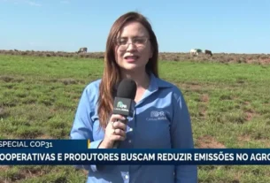 Especial cop31 - cooperativas e produtores buscam reduzir emissões no agro