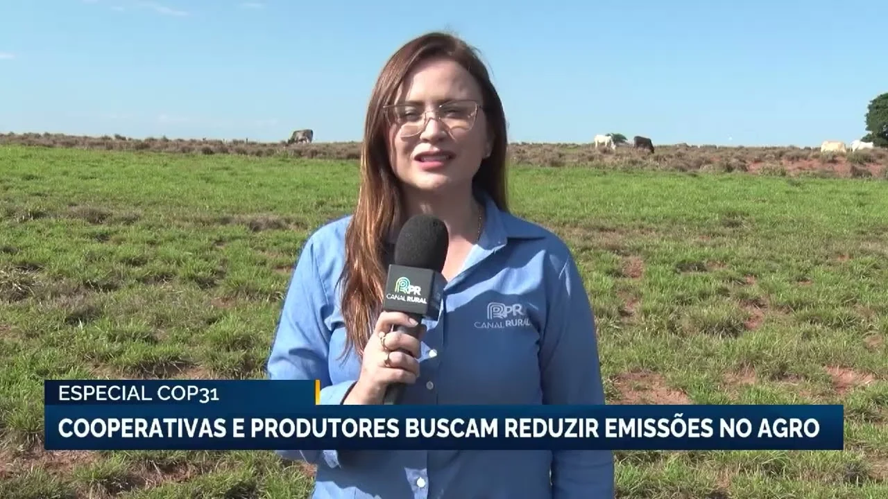 Especial cop31 - cooperativas e produtores buscam reduzir emissões no agro