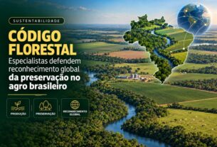 Especialistas destacam importância global do Código Florestal brasileiro