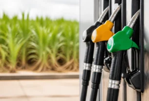 Etanol ganha vantagem competitiva sobre a gasolina em dez estados e no Distrito Federal