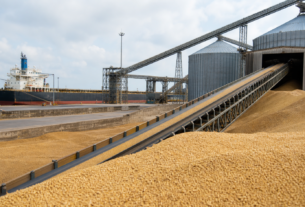 EUA registram aumento nas vendas de trigo da safra 2026/27, segundo USDA