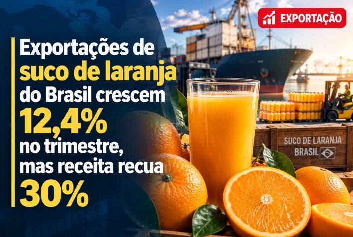 Exportação de suco de laranja brasileiro cresce em volume mas receita cai 30% no trimestre