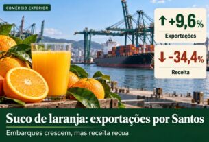 Exportação de suco de laranja por Santos cresce em volume, mas receita tem queda expressiva