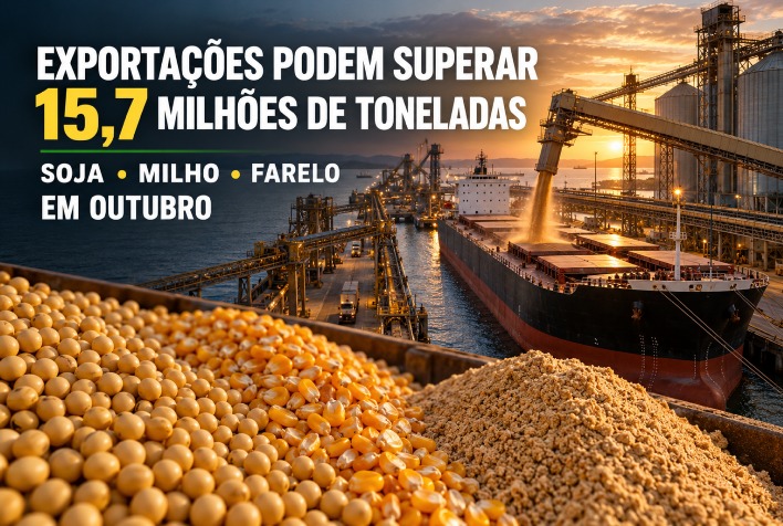 Exportações brasileiras de grãos podem superar 15,7 milhões de toneladas em outubro
