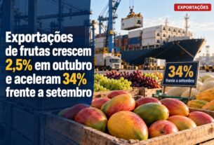 Exportações de frutas brasileiras ganham fôlego e crescem em outubro