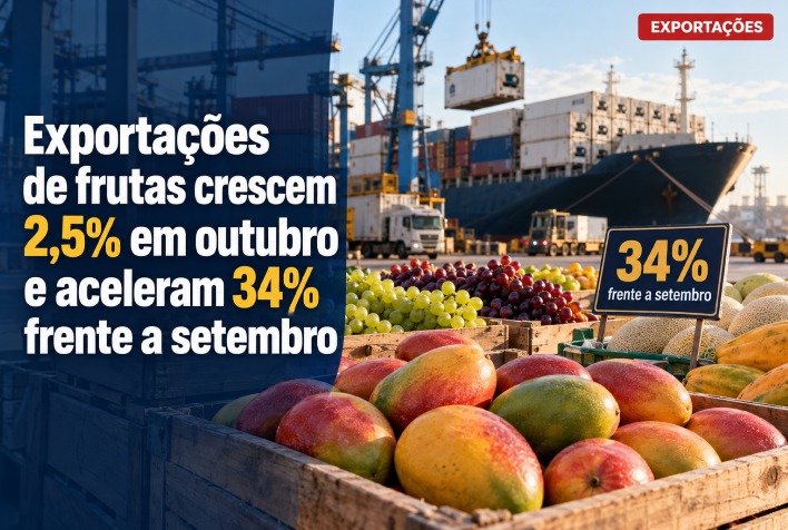 Exportações de frutas brasileiras ganham fôlego e crescem em outubro