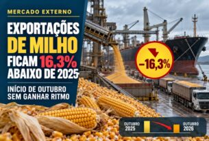 Exportações de milho recuam 16,3% em outubro e mantêm ritmo estável