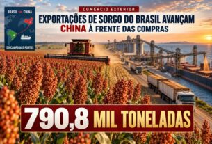 Exportações de sorgo do Brasil disparam com demanda chinesa em 2026