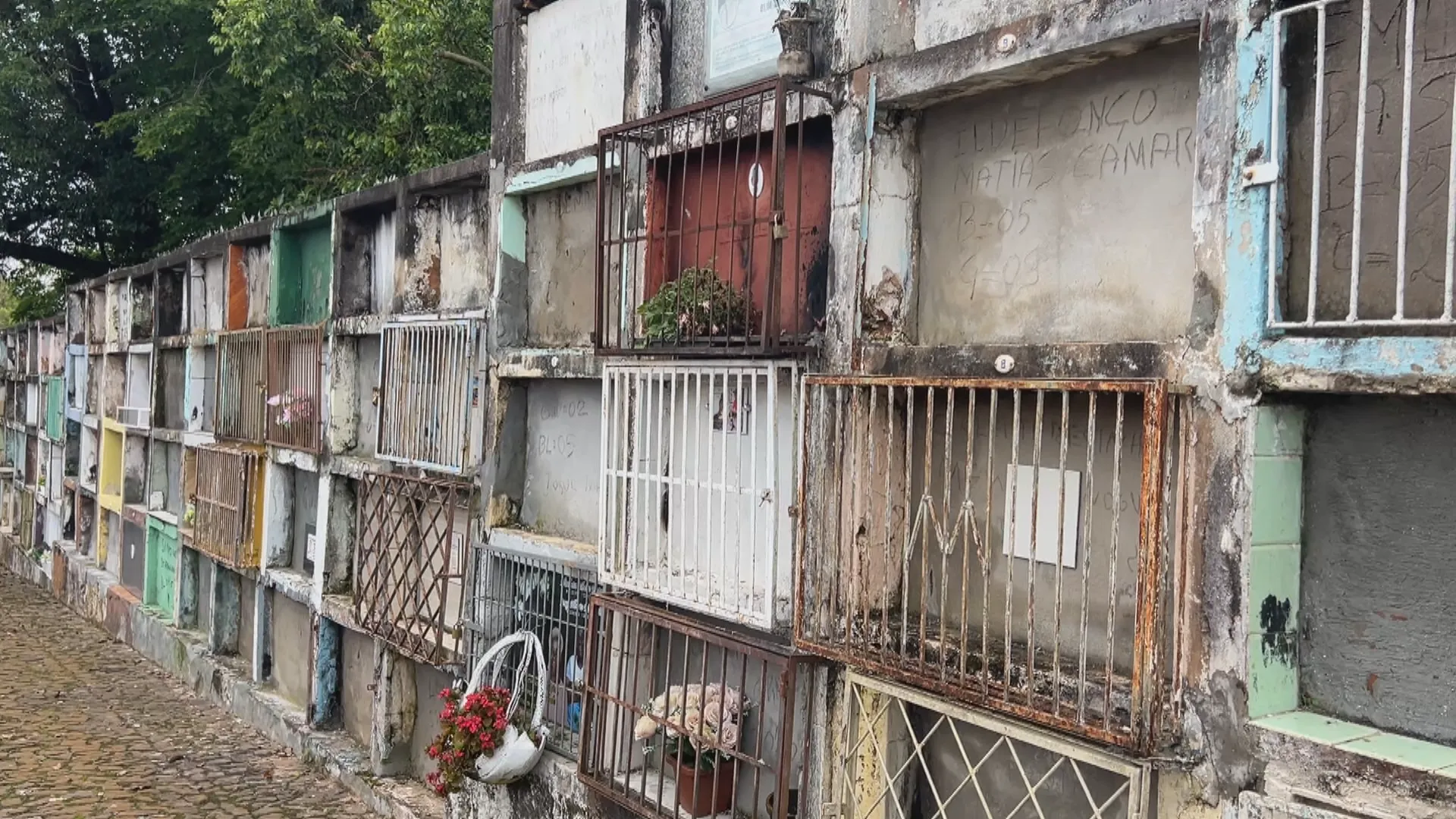 Família denuncia violação de túmulo e troca de ossada em cemitério de Cruz Alta