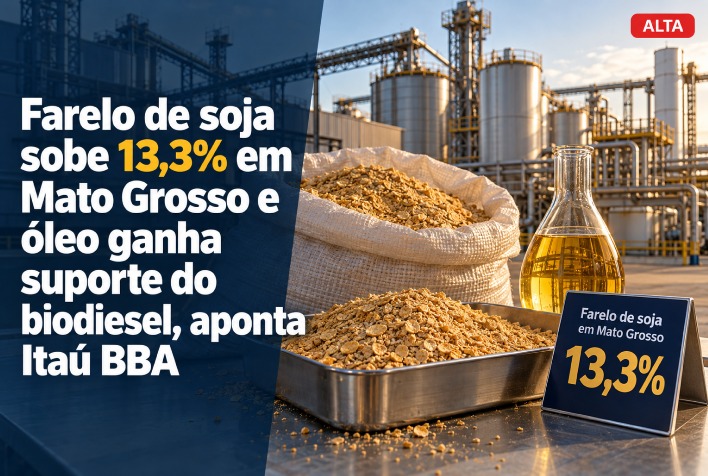 Farelo de soja dispara 13,3% em Mato Grosso sob influência da entressafra e demanda