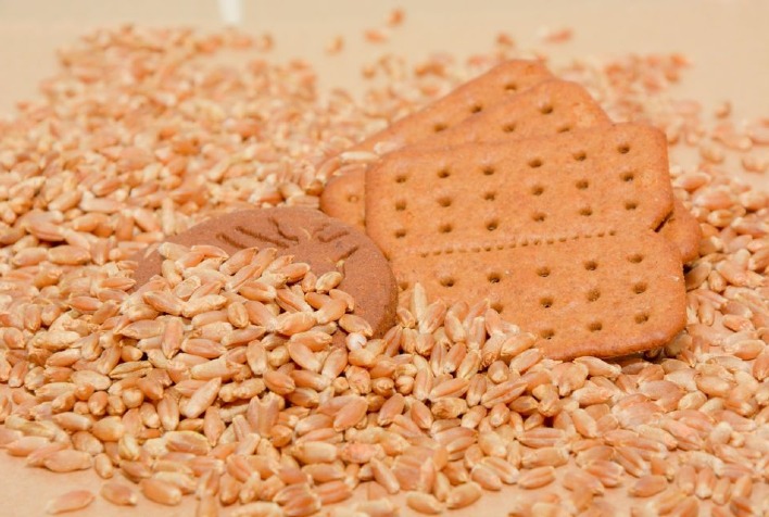 Farinha de triticale substitui trigo em biscoitos conforme novos testes