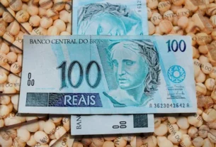 Financiamento via Cédulas de Produto Rural alcançou R$ 597 bilhões em setembro