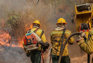 Fiocruz alerta para riscos das queimadas à saúde de populações indígenas no Amazonas